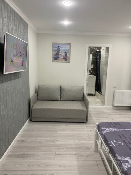 28 м², 1-комнатная квартира 2 490 ₽ в сутки - изображение 45