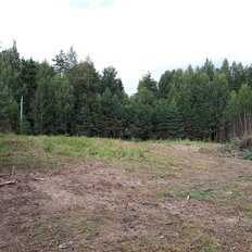 50 соток, участок - изображение 3