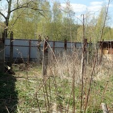 6 соток, участок - изображение 2