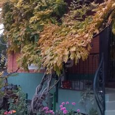 дом + 2,7 сотки, участок - изображение 3