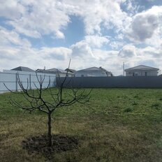 5 соток, участок - изображение 2