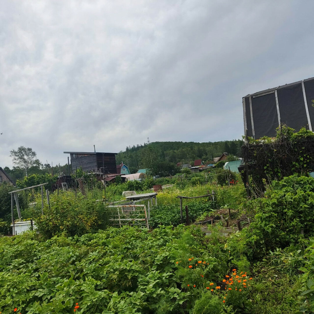 Дом 1-комн. 20 м² в Комсомольск-на-Амуре — фото 4