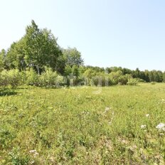 2 га, участок коммерческого назначения - изображение 5