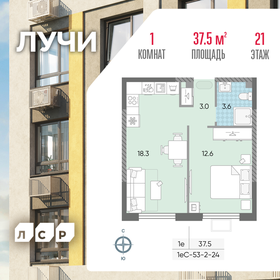 37 м², 1-комнатная квартира 13 239 155 ₽ - изображение 44