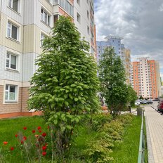 Квартира 60 м², 2-комнатная - изображение 3