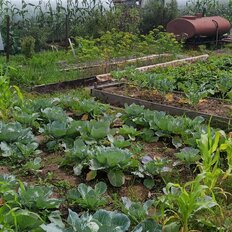 дом + 8 соток, участок - изображение 1