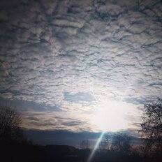 8 соток, участок - изображение 3
