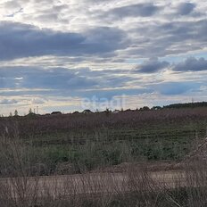 5 га, участок коммерческого назначения - изображение 4