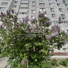 Квартира 37 м², 1-комнатная - изображение 2