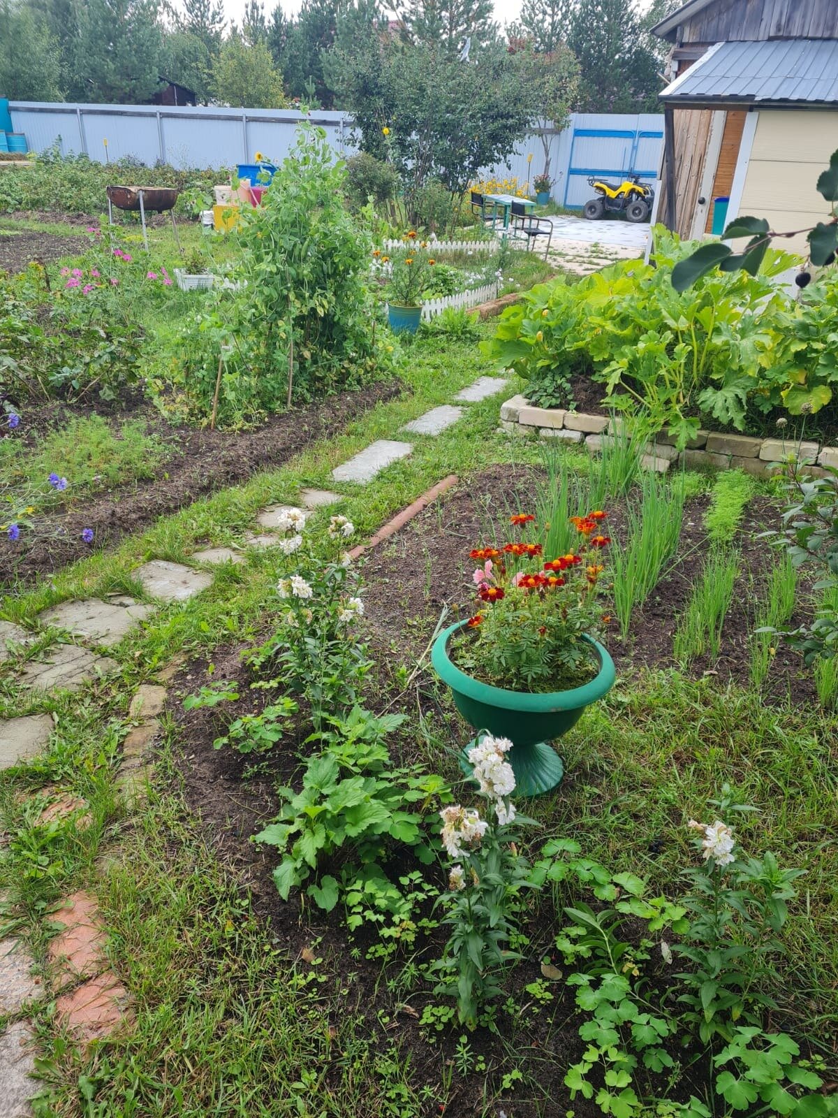 Дом 30 м² в ПСОК Победит-2 — фото 2