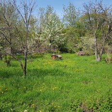 6,4 сотки, участок - изображение 3