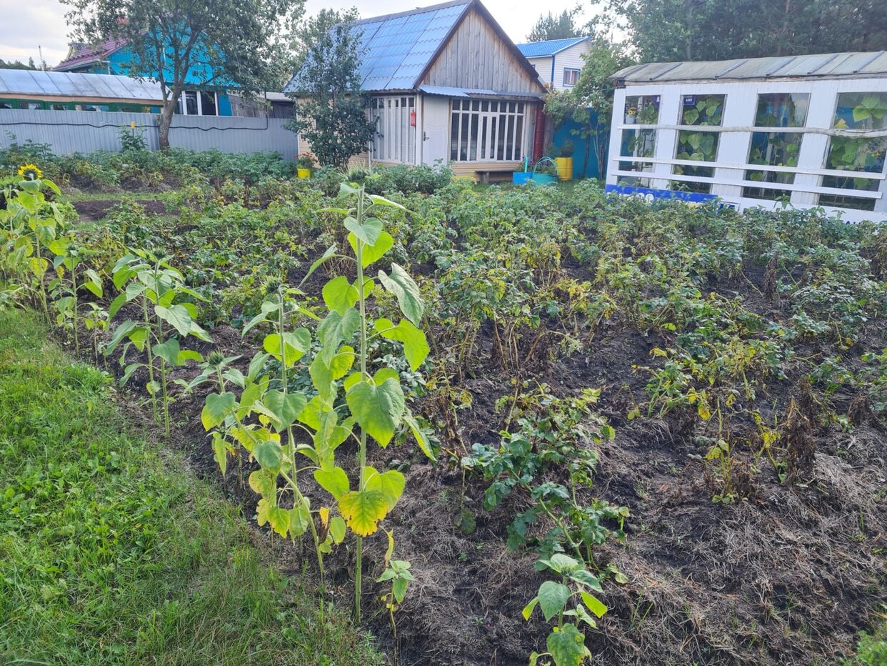 Дом 30 м² в ПСОК Победит-2 — фото 10 из 13