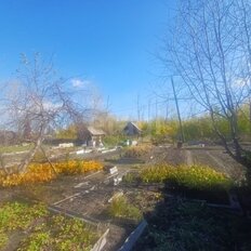 8 соток, участок - изображение 3