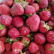 4 сотки, участок - изображение 2