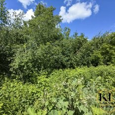 10,3 сотки, участок - изображение 3