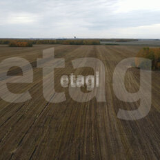 4,3 га, участок коммерческого назначения - изображение 2