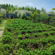 4,4 сотки, участок - изображение 1