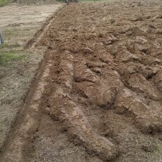 14 соток, участок - изображение 4