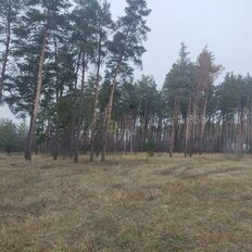 8 соток, участок - изображение 3