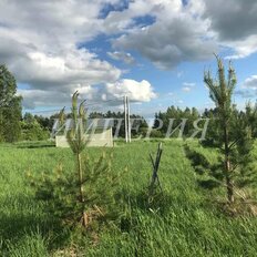 24 сотки, участок - изображение 5