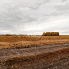 4,3 га, участок коммерческого назначения - изображение 5