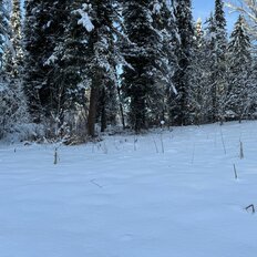 74 сотки, участок - изображение 1