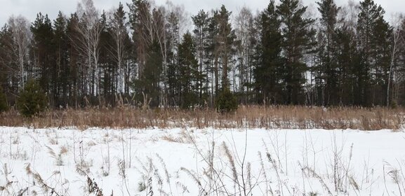 Купить 4-комнатную квартиру в ЖК «Архитектор» в Санкт-Петербурге и ЛО - изображение 29