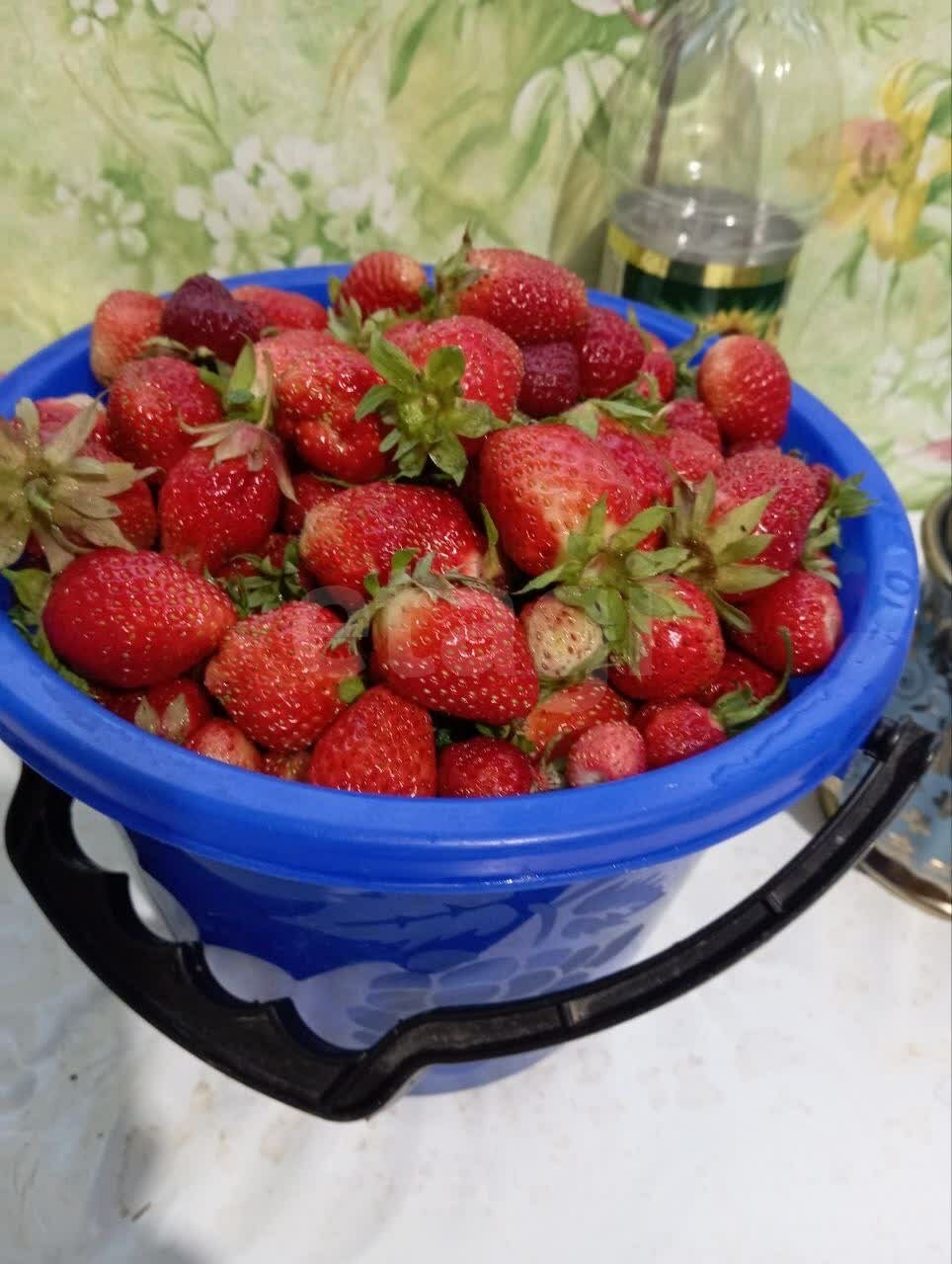 Дом 2-комн. 30 м² в садовый массив № 23 — фото 7 из 19