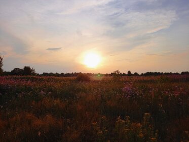 Купить квартиру распашонку на улице Хрустальная в Ульяновске - изображение 5