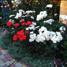 дом + 5 соток, участок - изображение 4