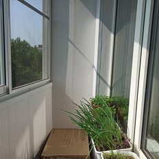 Квартира 33 м², 1-комнатная - изображение 4