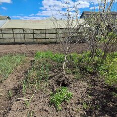 6 соток, участок - изображение 1