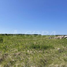 20 соток, участок - изображение 2