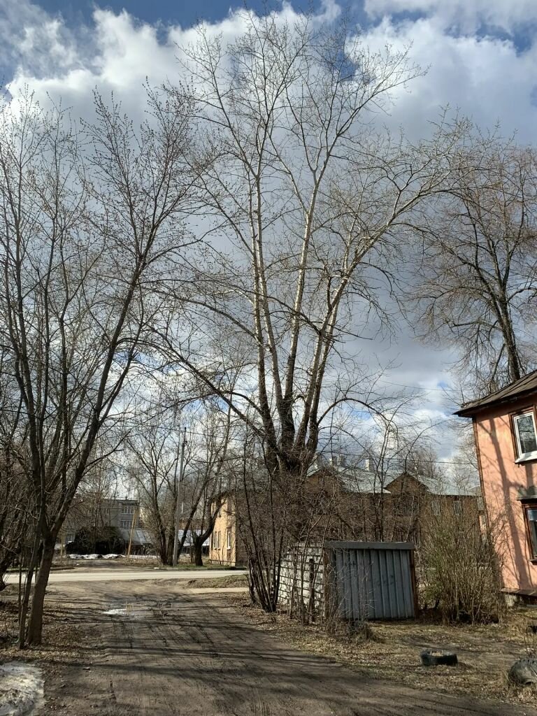 Комната 3-комн. 67 м² в Иваново — фото 8 из 10