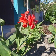 дом + 4 сотки, участок - изображение 1