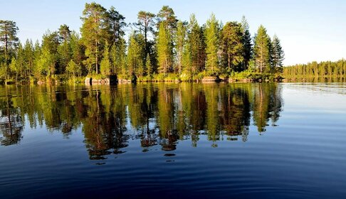 Купить квартиру маленькую в ЖК «Лугометрия» в Пензе - изображение 3