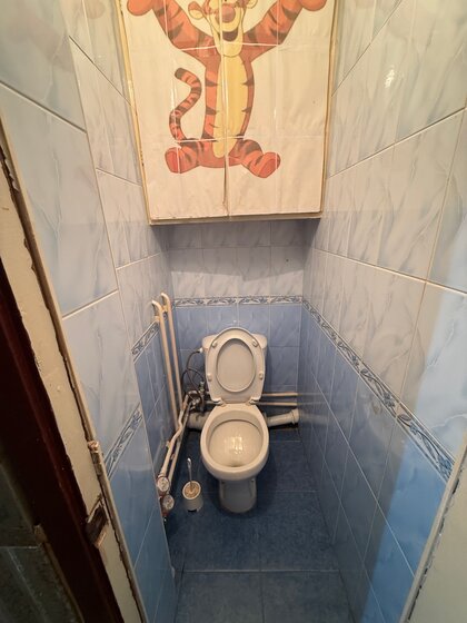 33 м², 1-комнатная квартира 3 000 000 ₽ - изображение 50