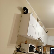 Квартира 47,5 м², 1-комнатная - изображение 2