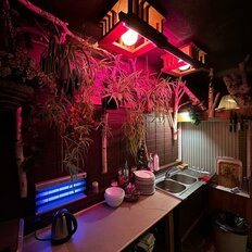 дом + 10 соток, участок - изображение 2