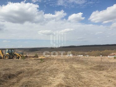 Снять квартиру с животными у метро Новокузнецкая (зелёная ветка) в Москве и МО - изображение 4