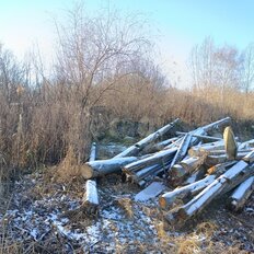 8,2 сотки, участок - изображение 2