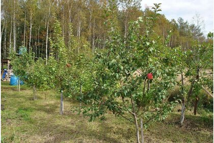 Купить квартиру с панорамными окнами в районе Фрунзенский в Ярославле - изображение 28