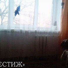 Квартира 20 м², 1-комнатная - изображение 1
