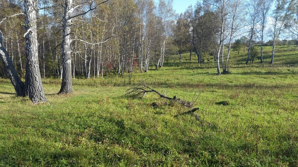 8,2 сотки, участок 3 000 000 ₽ - изображение 23