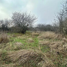 5 соток, участок - изображение 1