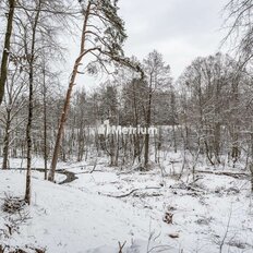 1,6 га, участок - изображение 4