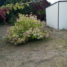 дом + 10 соток, участок - изображение 4