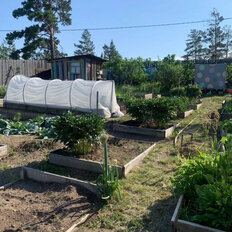 12 соток, участок - изображение 4