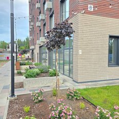 Квартира 20 м², студия - изображение 2