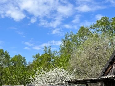 Купить квартиру рядом с водоёмом у станции Панки в Люберцах - изображение 39